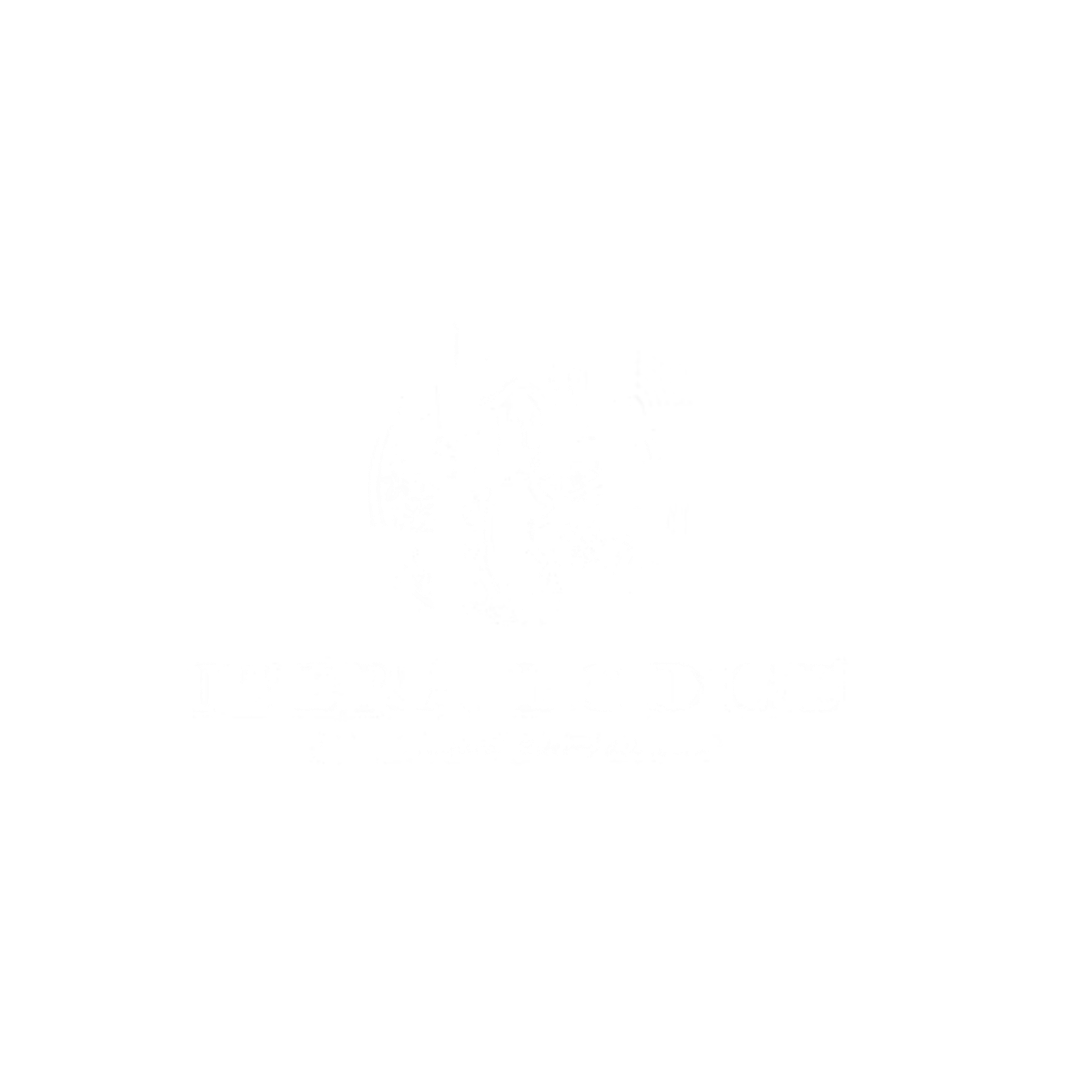 Editable seguidores web (6)